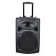 150w 15 Portable Remote Audio Pa Speaker With Bluetooth Usb Wireless Microphone