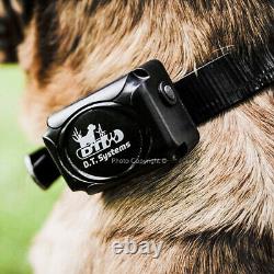DT Systems H2O 1820 PLUS Expandable Dog Remote Trainer FREE ROY GONIA WHISTLE