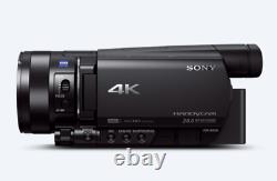Sony HANDYCAM (AX100 4K)